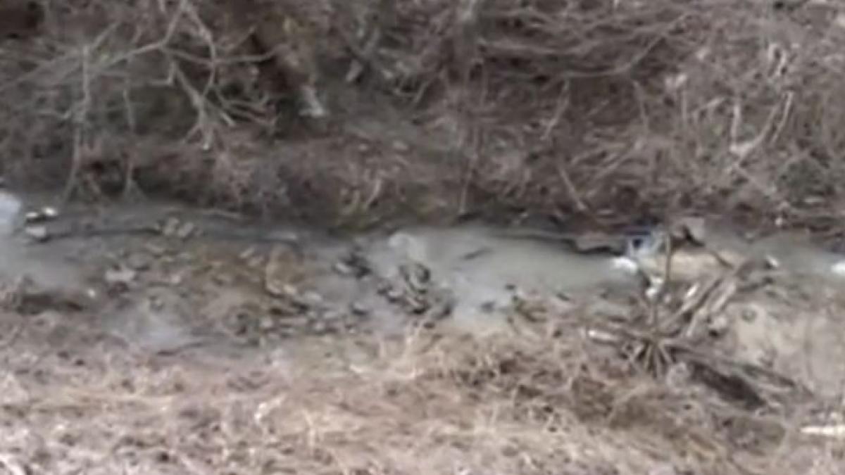 totul despre fenomenul care iti afecteaza sanatatea cum te poate imbolnavi eclipsa de luna