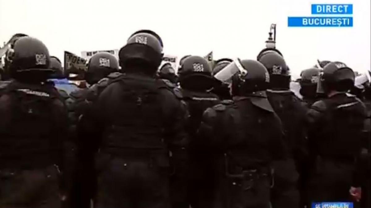 violente proteste parlament crescatori animale