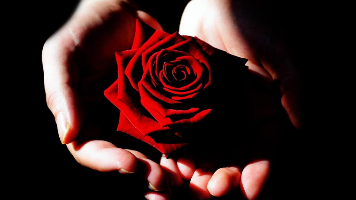 concurenta de la burlacul a murit intr un accident cumplit