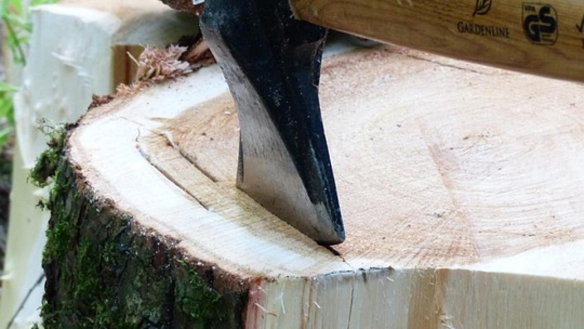 un politist s a folosit de arma din dotare dupa ce a fost atacat cu toporul