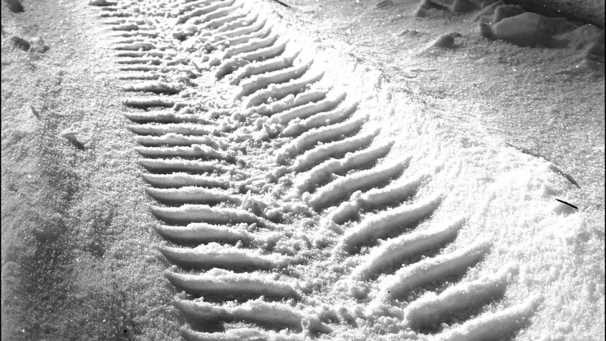 turisti salvati de jandarmi in muntii bucegi