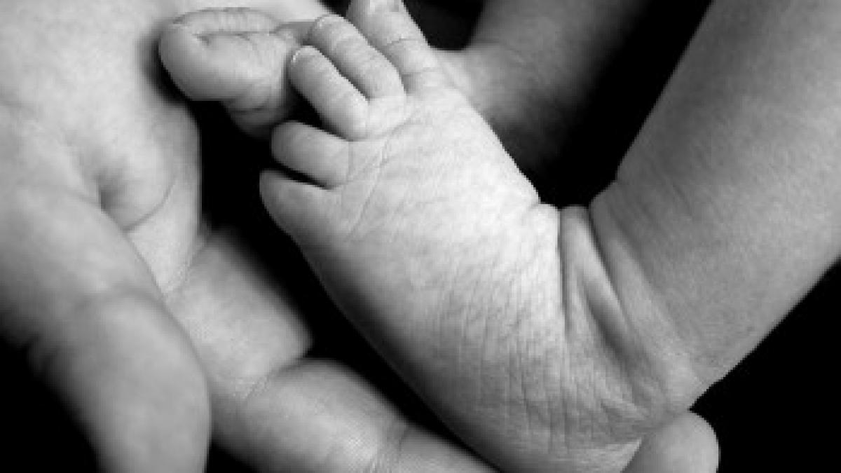 ce dileme are un proaspat parinte