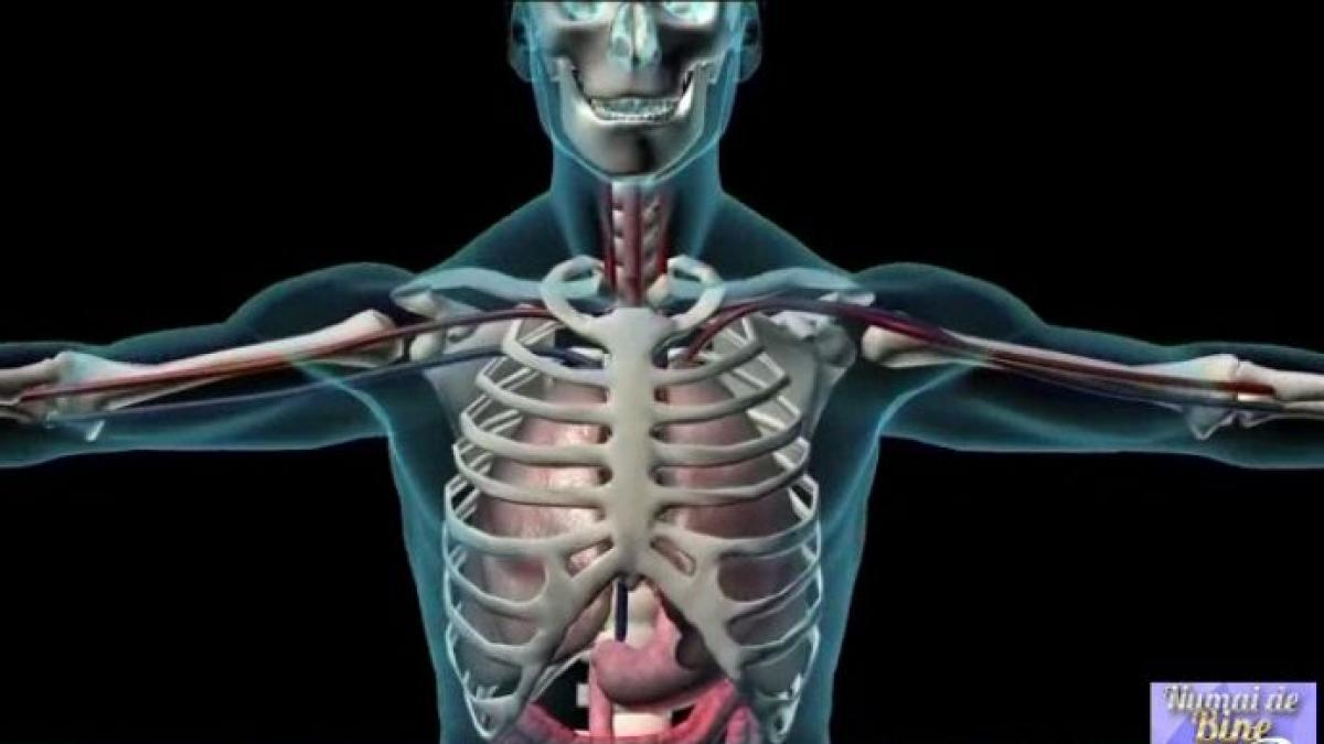 numai de bine solutii pentru a combate colesterolul marit