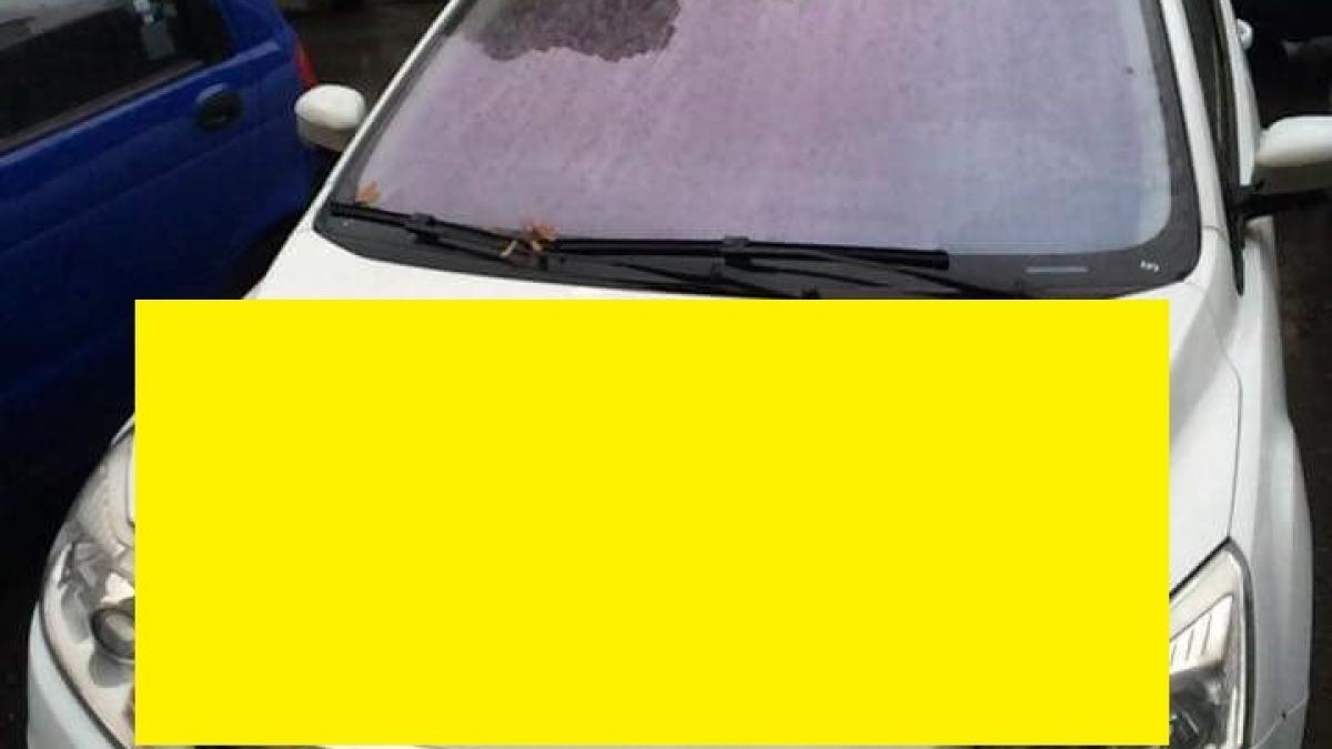 ce a gasit pe capota un bucurestean care a parcat pe trecere