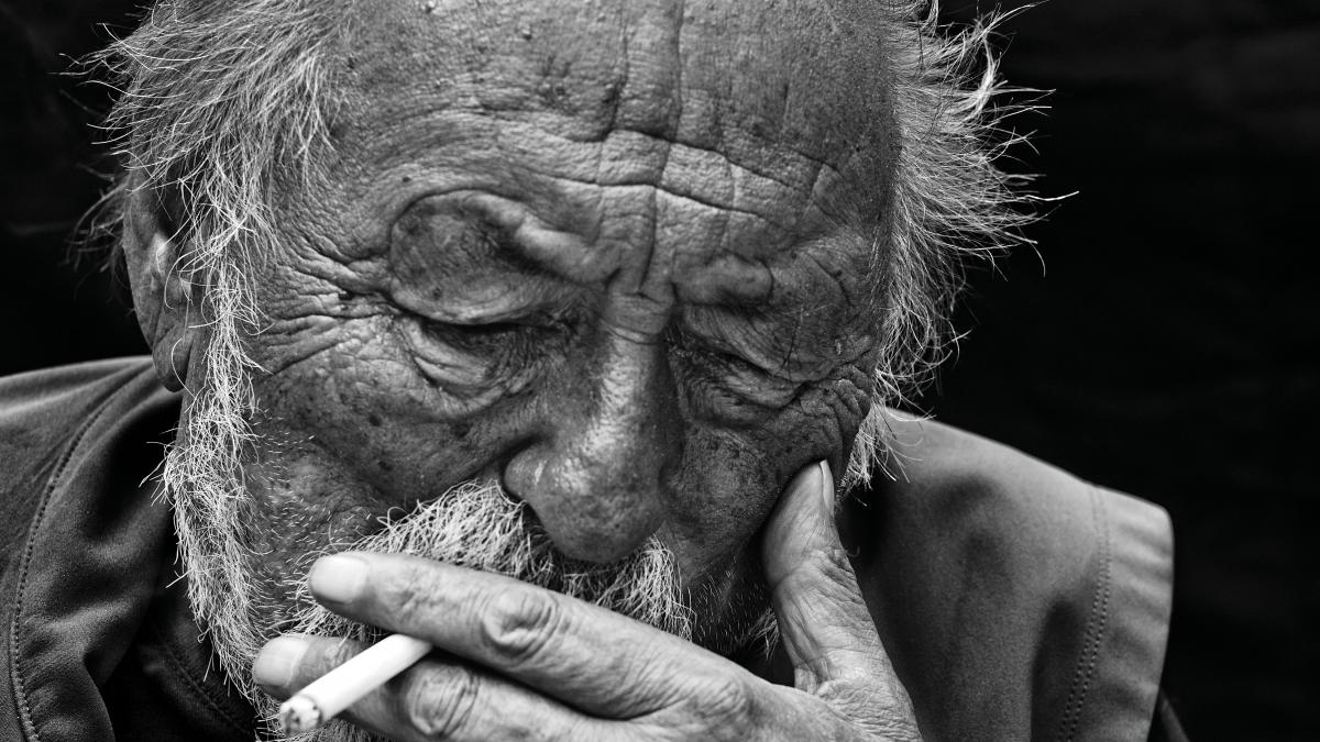 jim harrison autorul romanului legendele toamnei a murit la 78 de ani