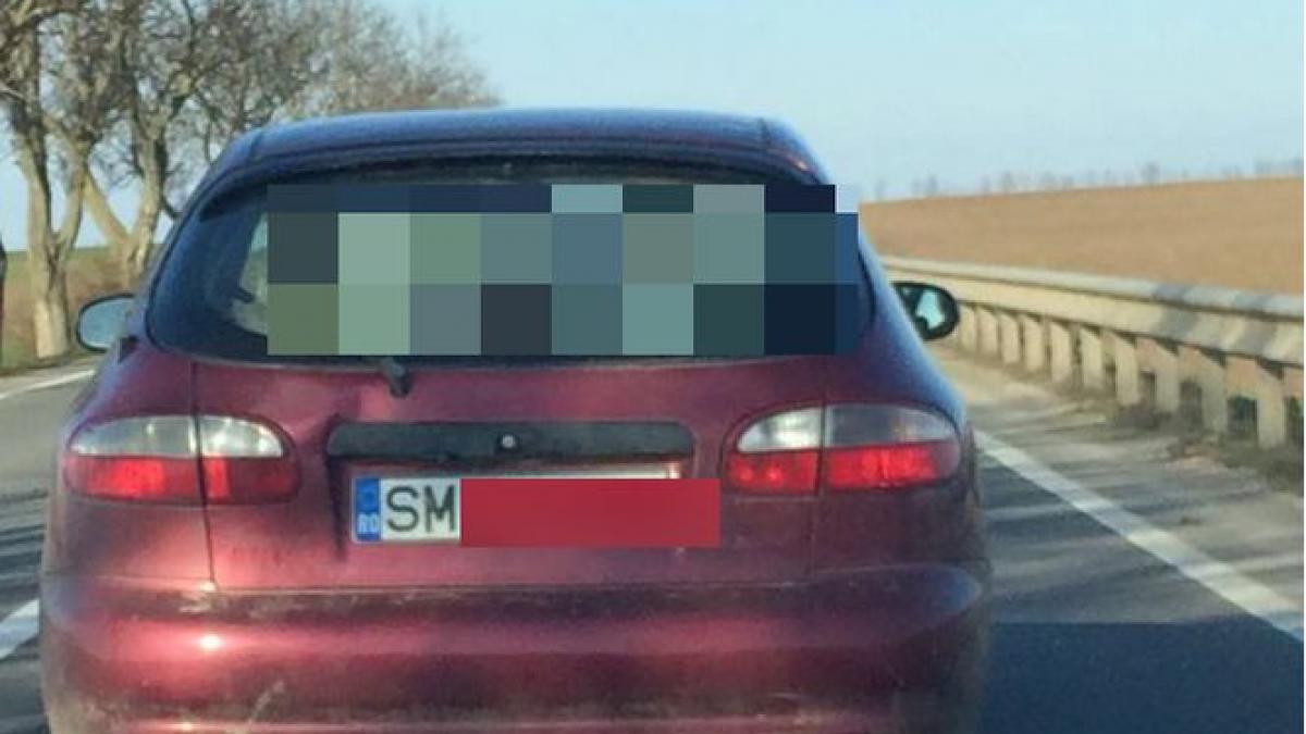 nu se astepta sa vada asta vezi ce a intalnit pe sosea un sofer din satu mare