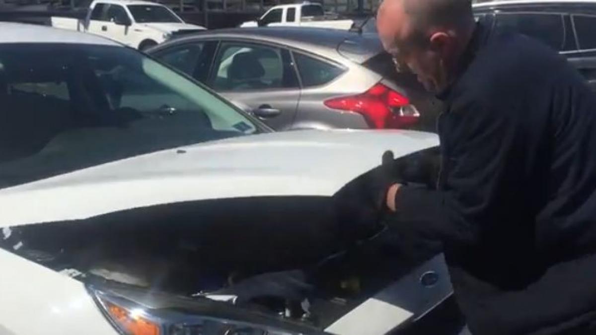 a avut un soc cand a vazut ce era sub capota masinii