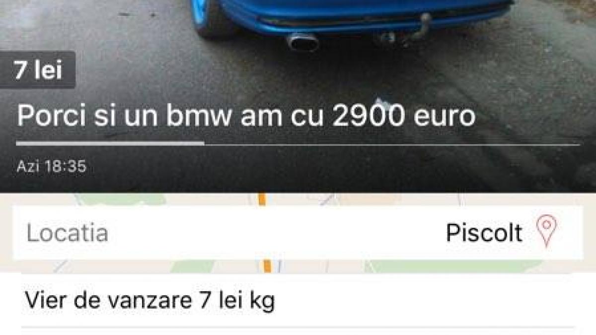 anuntul bmw porci