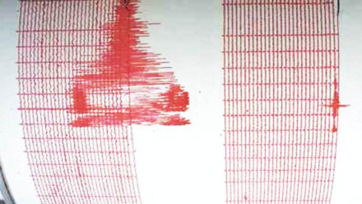 cutremur urias in vanuatu