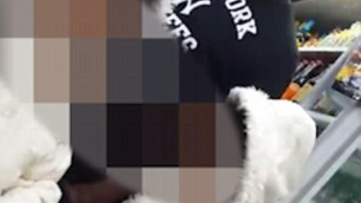 imagini cutremuratoare cum este abuzata o musulmana intr un magazin