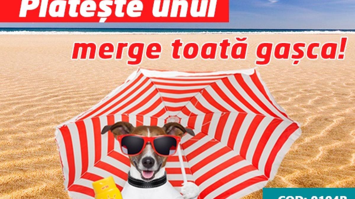 plateste unul merge toata gasca in lefkada