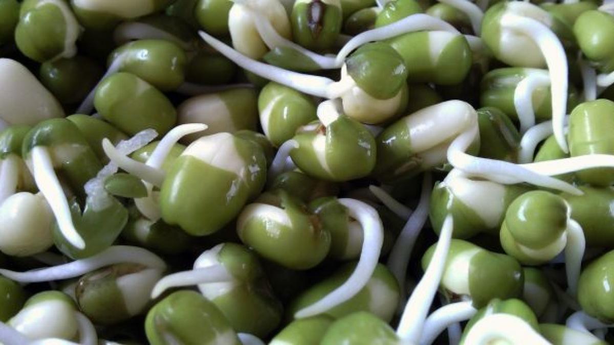 studiile confirma doar 4 linguri pe zi te scapa de cancer pentru totdeauna