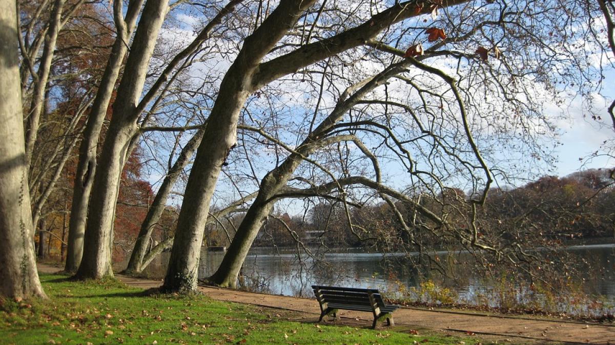 a ajuns la politie plina de sange si a spus ca a fost violata ce s a intamplat de fapt cu fata