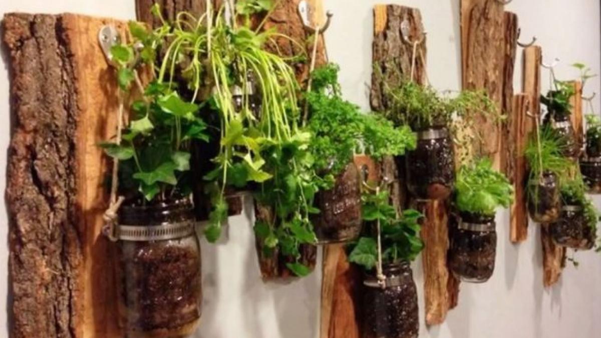 agricultura la bloc iata ce poti cultiva pe balcon