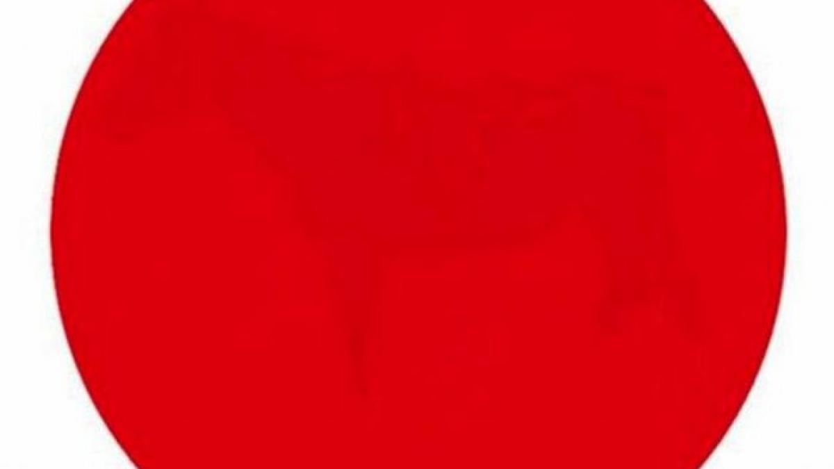 poti vedea ce se ascunde in spatele cercului rosu testul care a facut inconjurul lumii