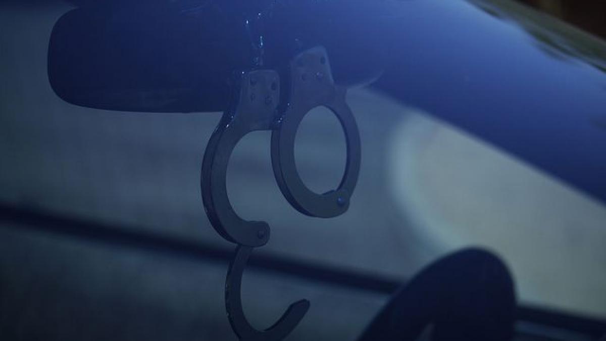 unul dintre israelienii arestati pentru hartuirea sefei dna a recunoscut acuzatiile