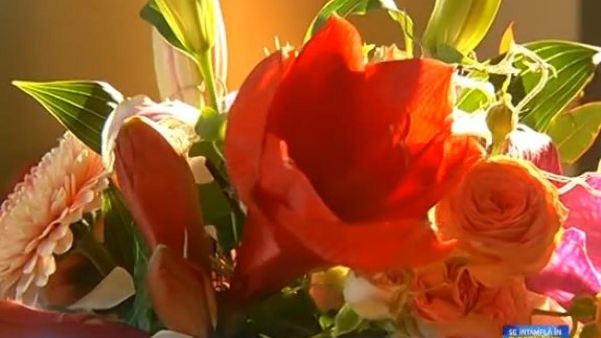 millennials maria coman campanie tineri