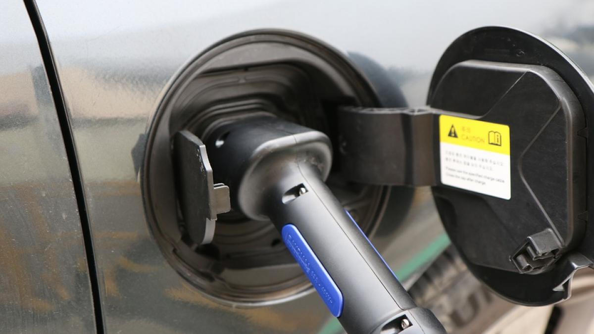 olanda masini electrice 2015 lege