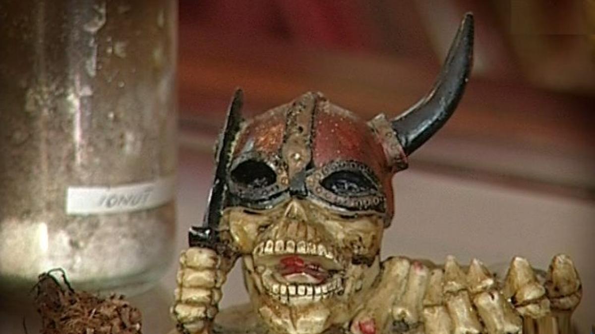 sinteza zilei fenomenul vrajitoarelor din romania anchete fabuloase in lumea maestrelor in