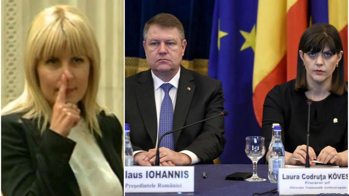 elena udrea iohannis reinvestire