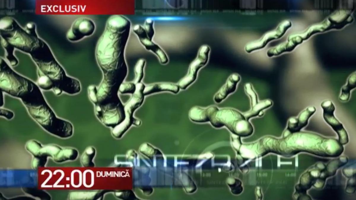 dezvaluiri inspaimantatoare duminica la sinteza zilei copiii din arges nu au murit din cauza e coli