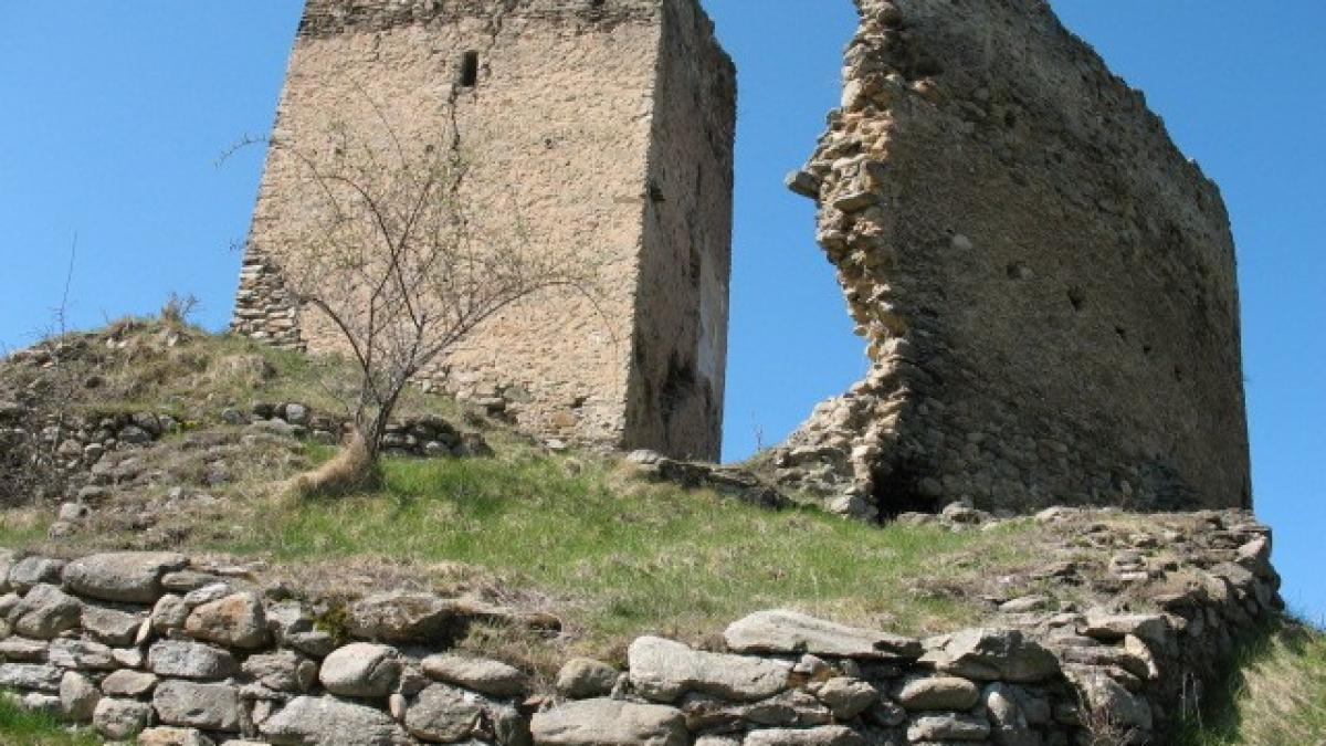 angajati ai primariei chef cu manele intr o cetate