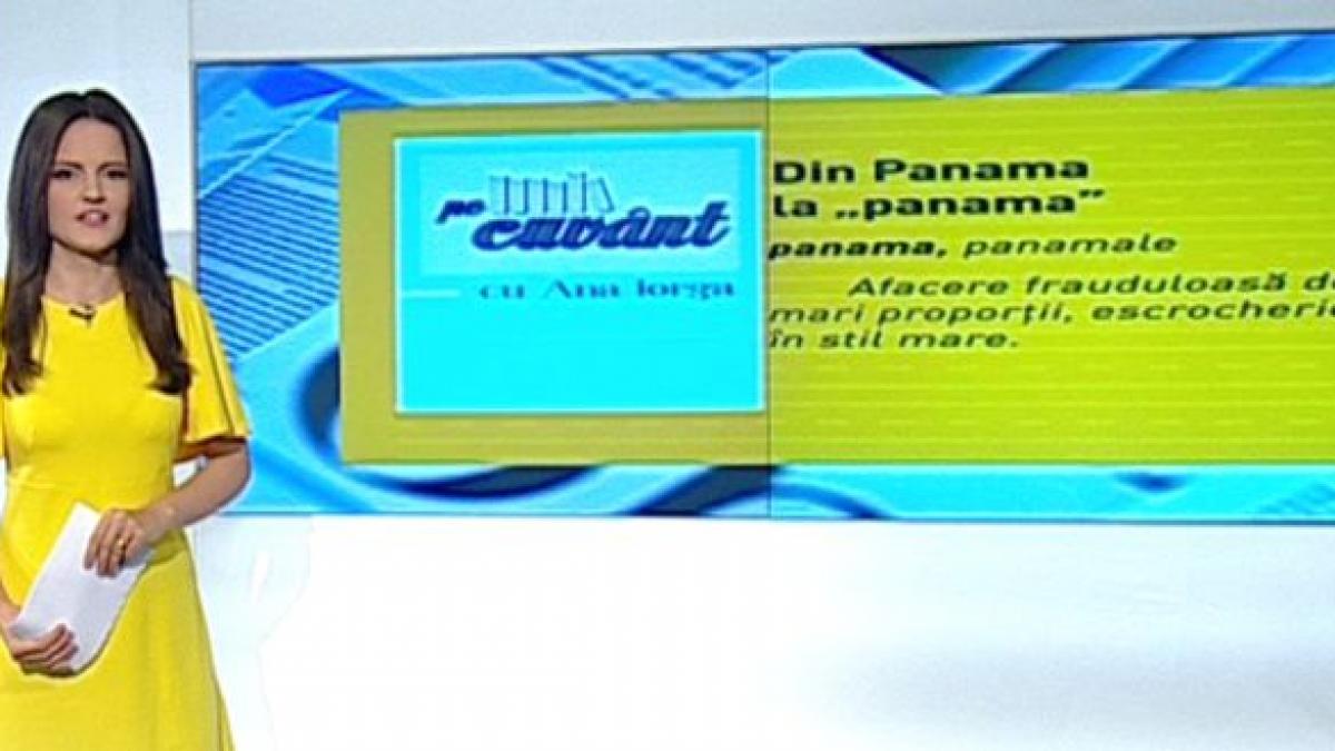 pe cuvant cu ana iorga panama sinonimul fraudei