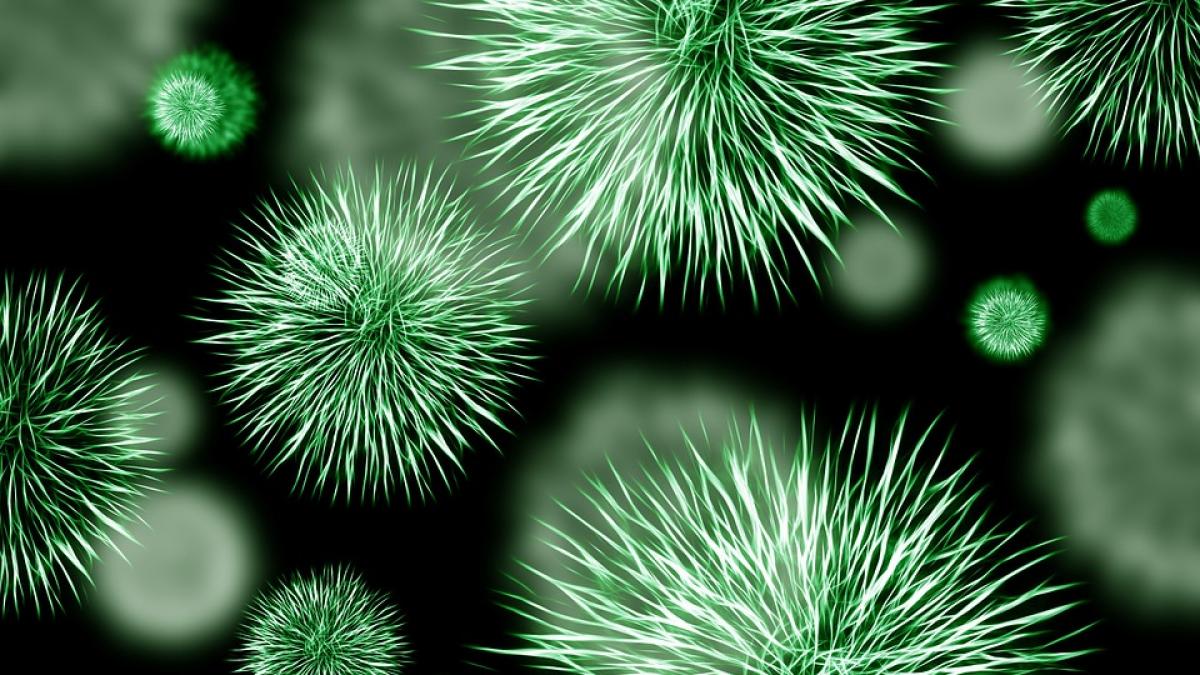 specialistii lanseaza un semnal de alarma refugiatii aduc in europa superbacterii