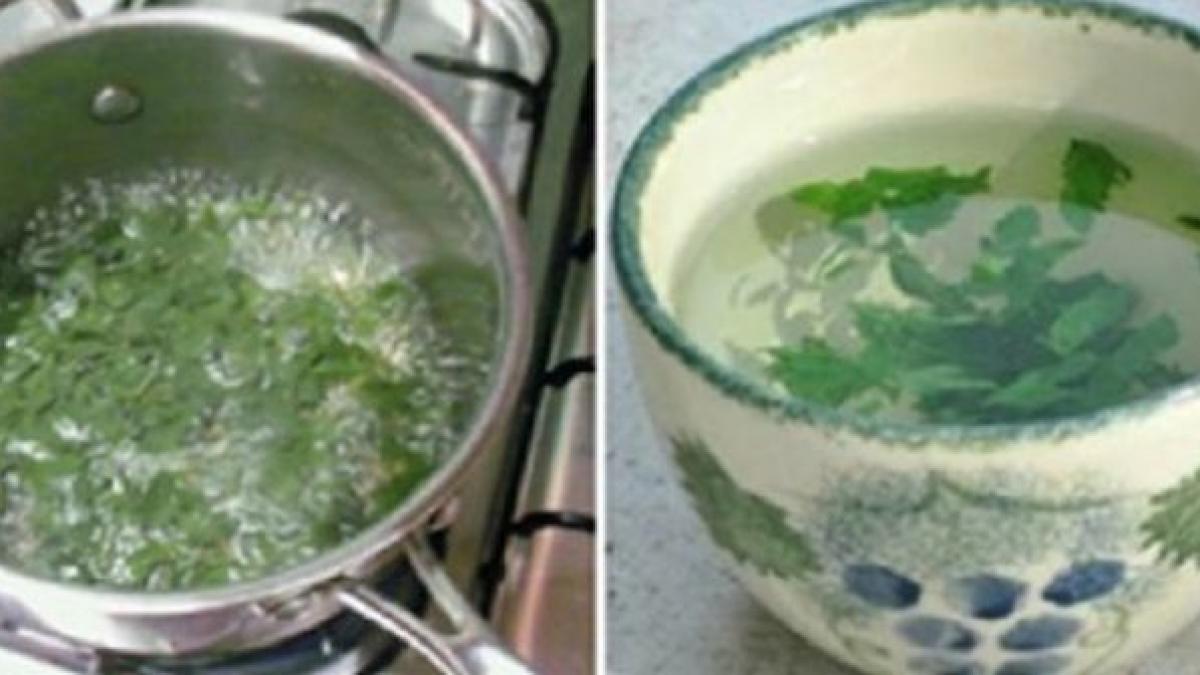 incredibil femeia asta a slabit 5 kilograme de joi pana sambata cu ajutorul acestei plante