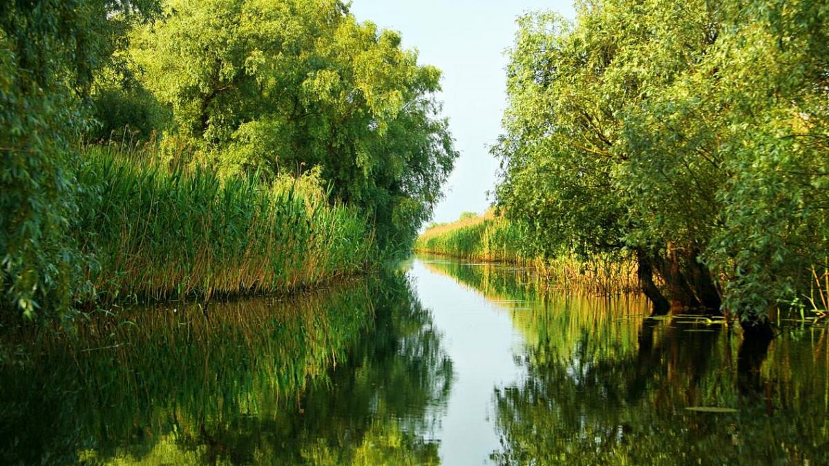 seniorii merg in delta cu numai 399 lei persoana