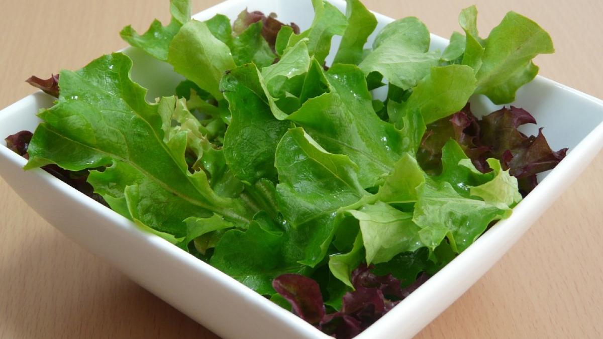 cat de sanatoasa este de fapt salata verde