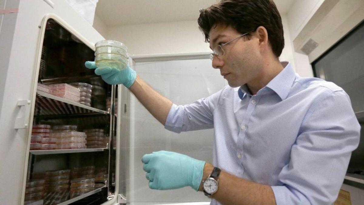 mandri ca suntem romani acest tanar cercetator ar putea aboli autismul si schizofrenia