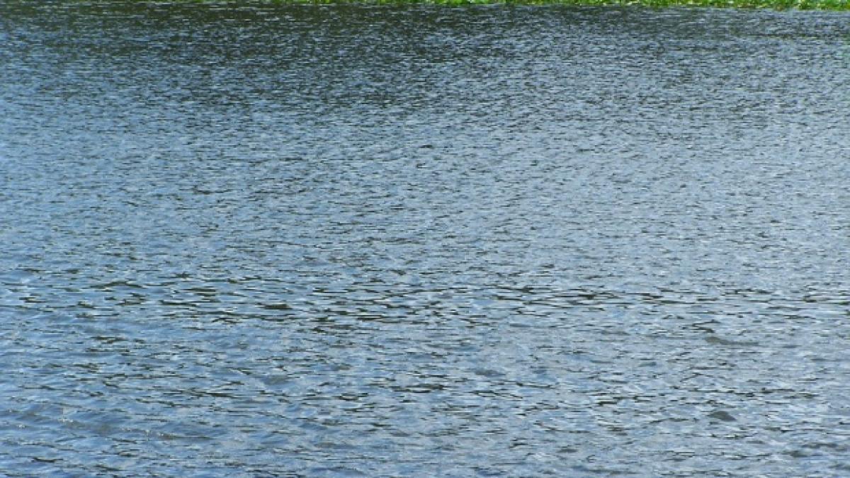 sotia afaceristului care a disparut marti a fost gasita in raul bistrita pe ce ipoteza merg