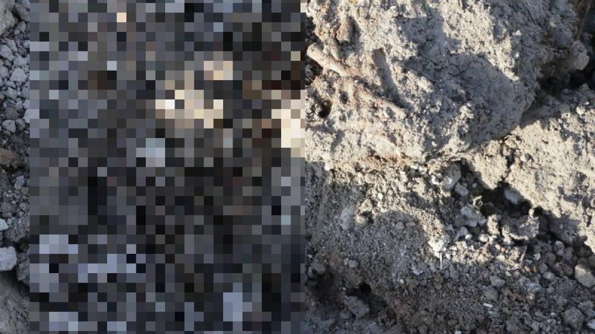 descoperirea incredibila facuta de un satean care isi sapa gradina a chemat imediat politia cand a