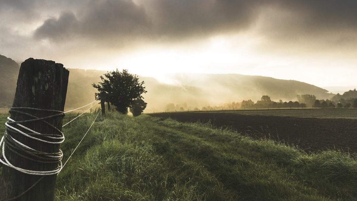 algerea unei romance sa vad cerul si stelele in locul mall urilor