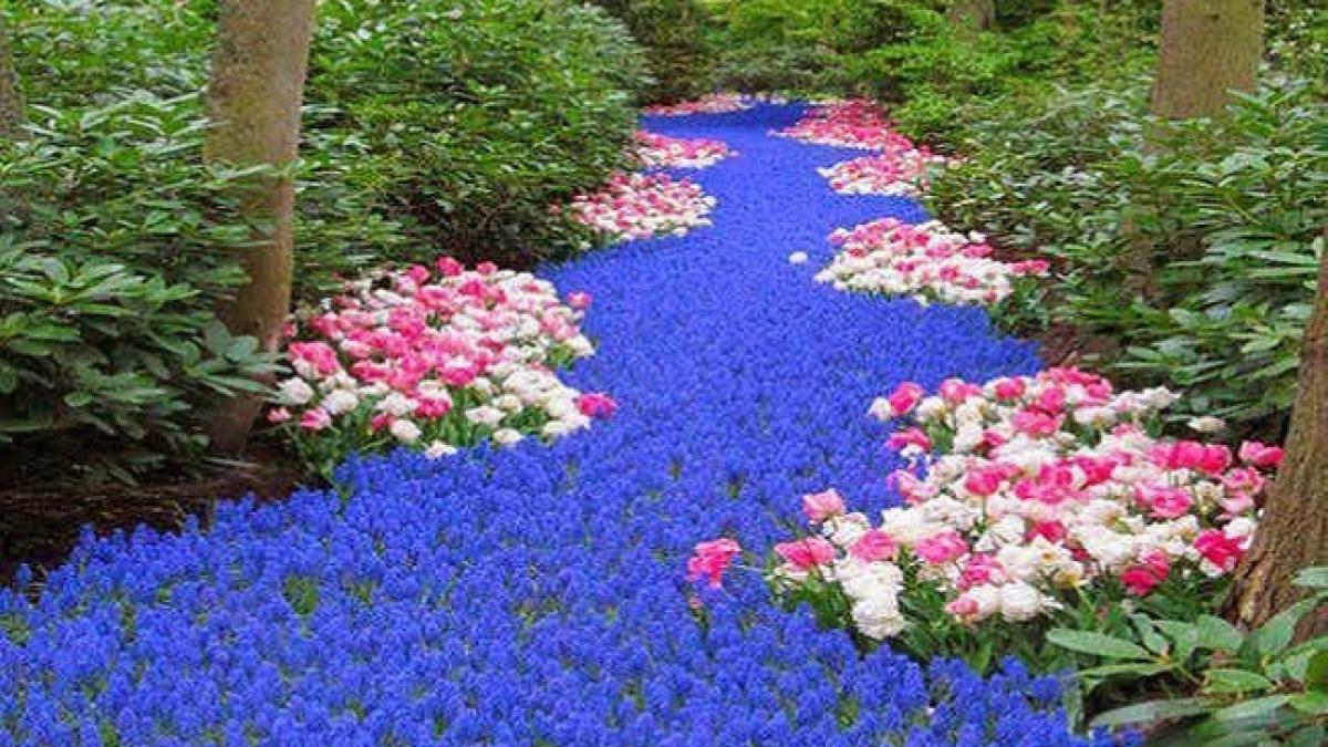 culorile anului 2016 in amenajarea gradinii