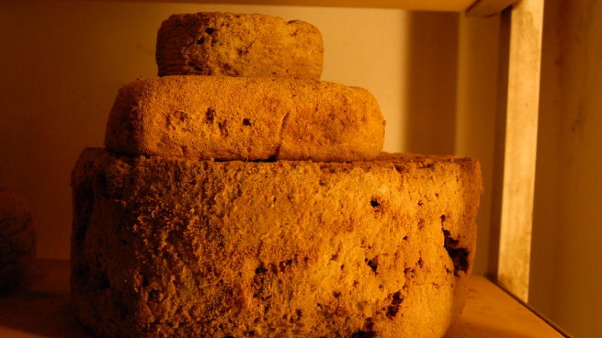 de ce a fost ingropata o femeie cu o bucata de branza pe piept intra si nu vei mai putea iesi