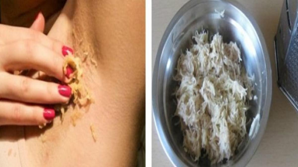 si a aplicat cartof dat prin razatoare la subrat rezultatul este neasteptat