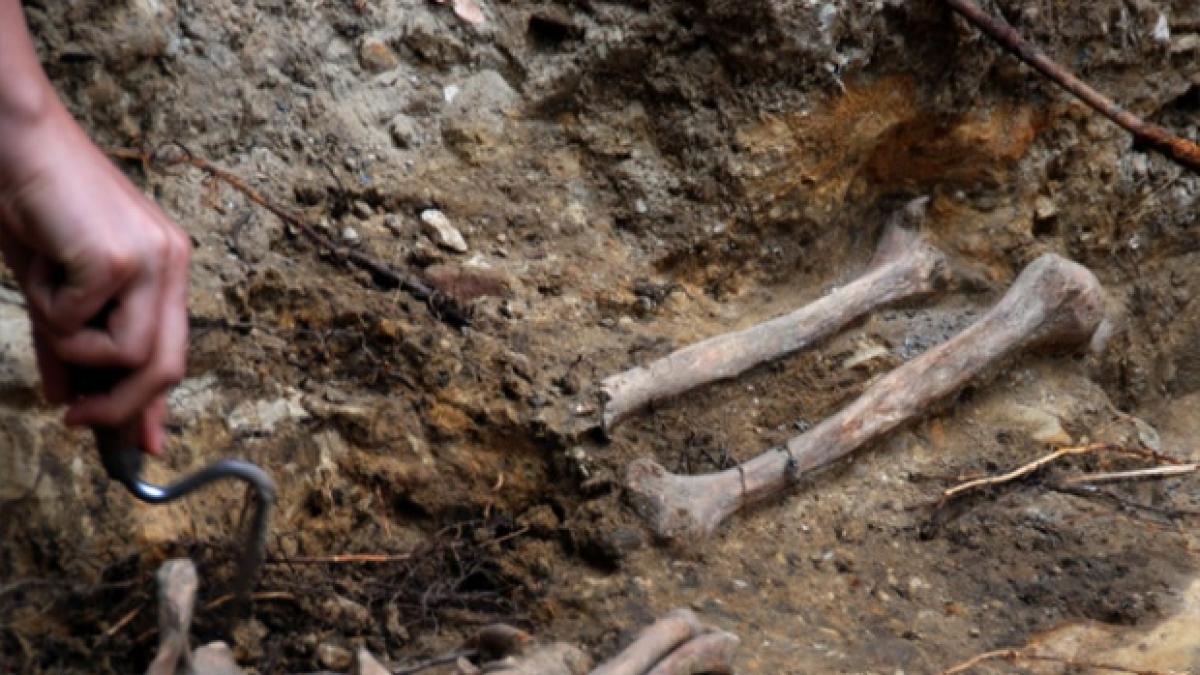 descoperire arheologica impresionanta langa ploiesti