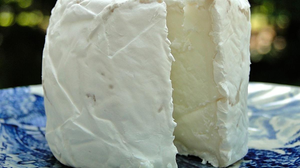un depozit de alimente din galati a fost inchis dupa ce s au gasit tone de branza expirata
