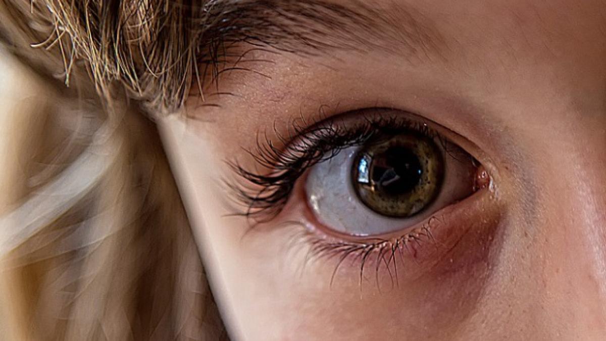 un elev de 17 ani a fost ridicat de mascati pentru pornografie infantila