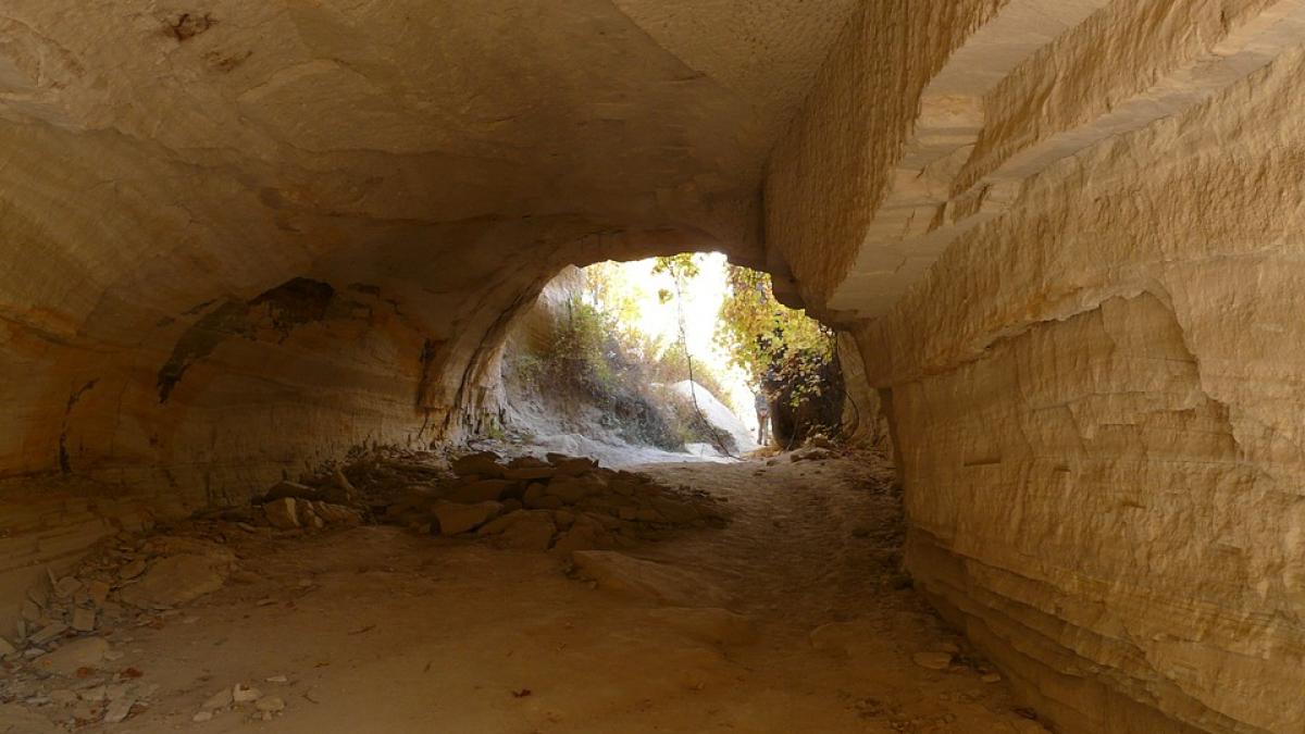 au dat la o parte un cos de gunoi si au facut o descoperire uimitoare