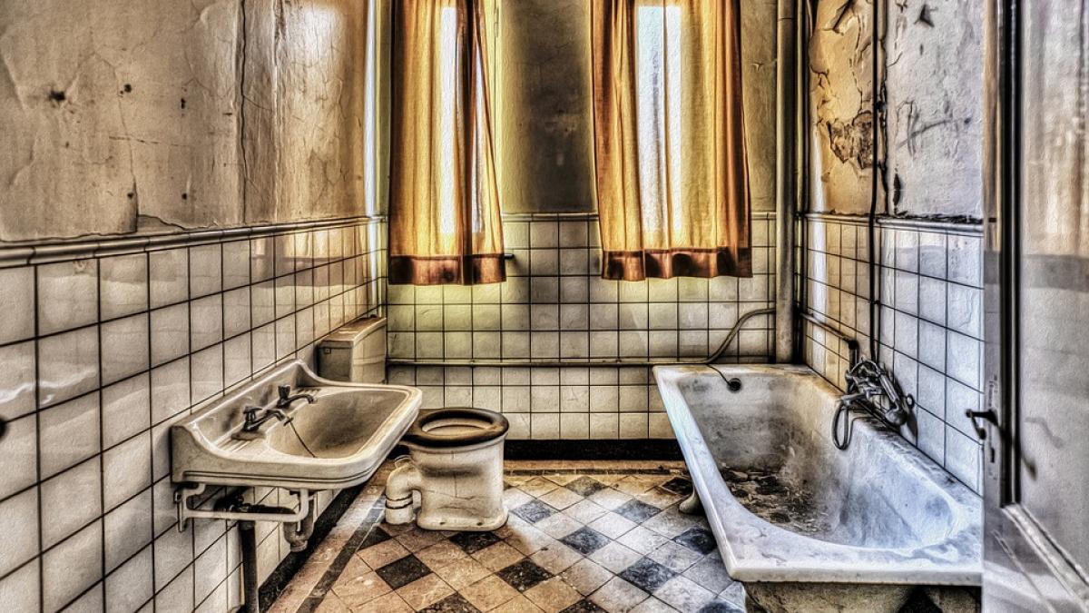 cristea guvern program prima baie