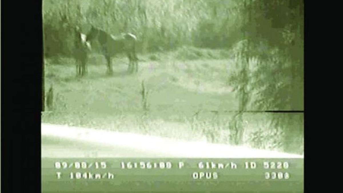 radar defect cai pascand