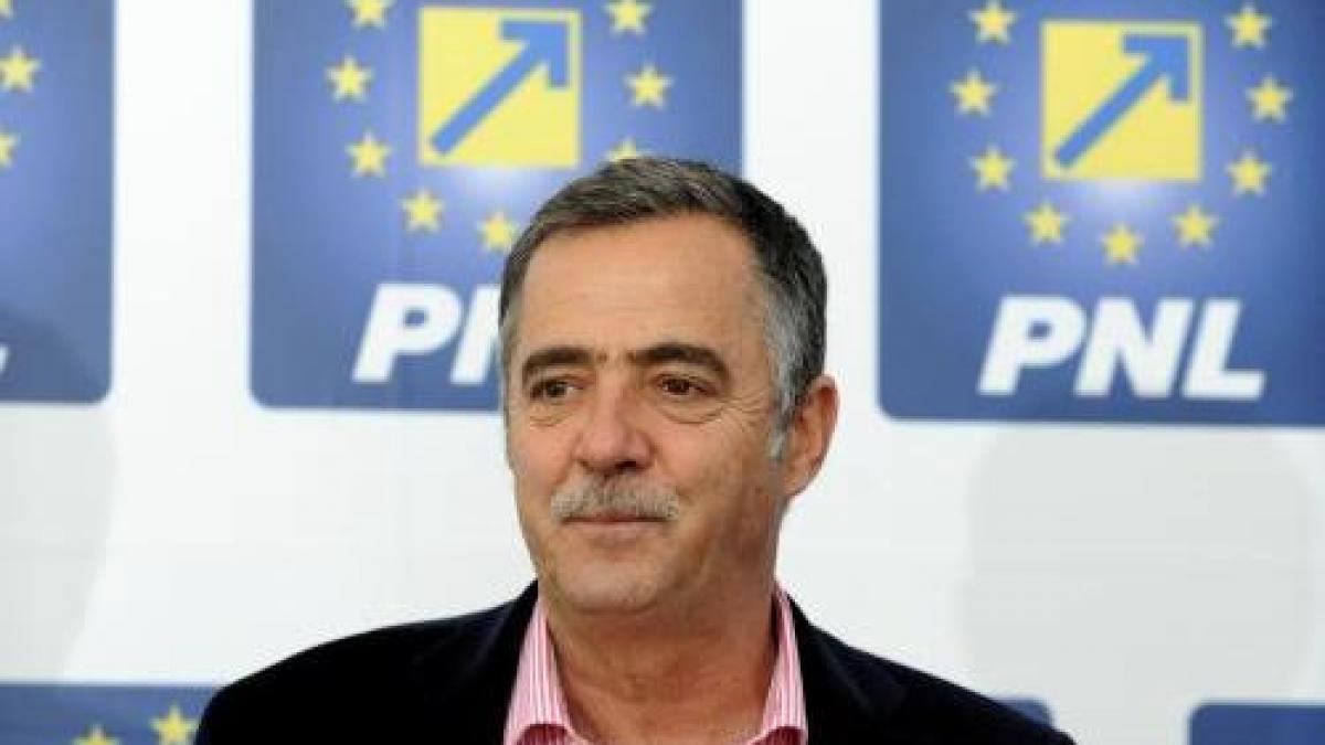 pnl preda demisia dragnea referendumul