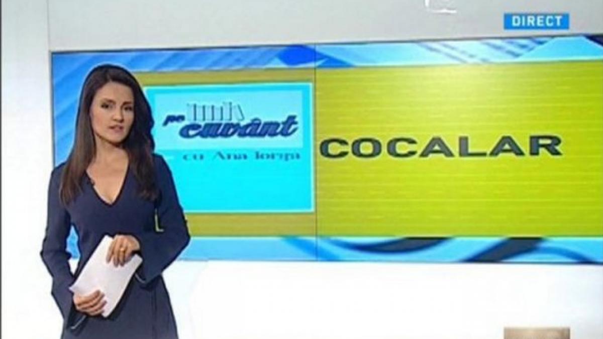 pe cuvant cu ana iorga despre cuvinte fara caterinca