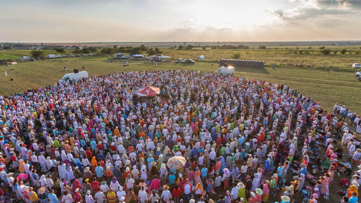 daune pentru membri misa
