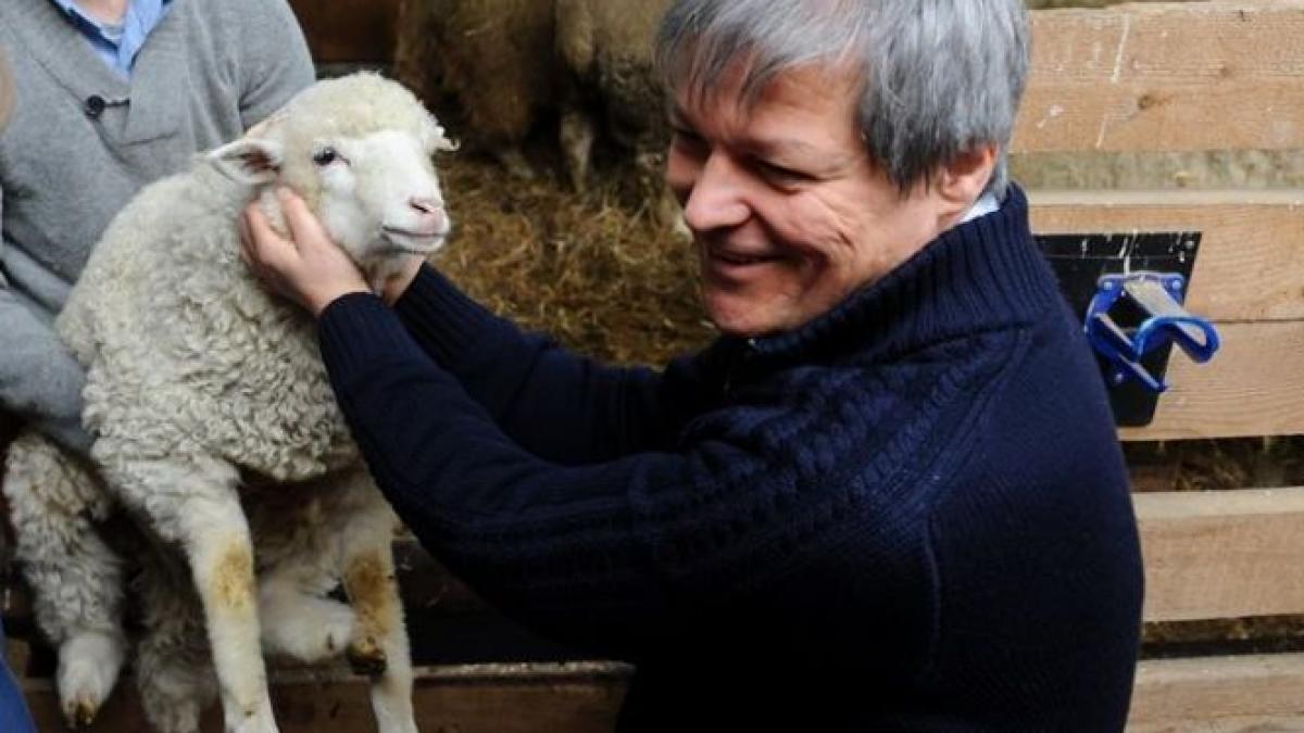 premierul dacian ciolos a declarat miercuri ca isi va petrece pastele acasa ca de obicei in ardeal