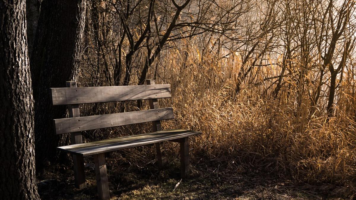 cand iubirea nu moare niciodata ce mesaj a gasit sotia la doua luni dupa ce barbatul sau s a stins