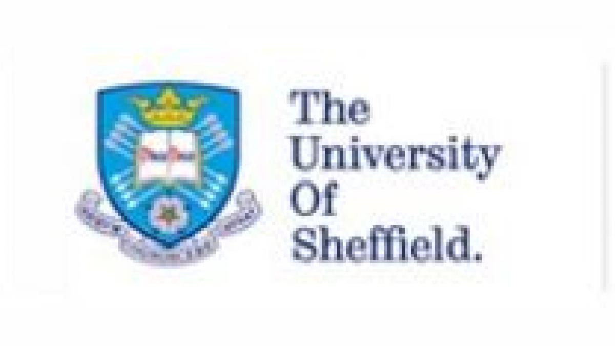daily income si universitatea sheffield au ales castigatorul bursei executive mba